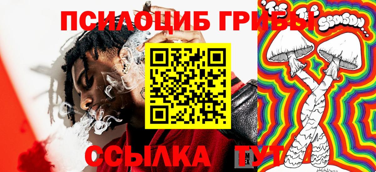Псилоцибиновые грибы Psilocybine cubensis Владивосток