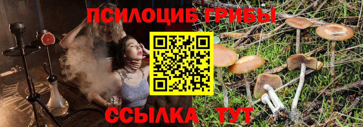 Псилоцибиновые грибы мицелий  Вход с VPN  Владивосток  хочу   Галлюциногенные грибы ЛСД 
